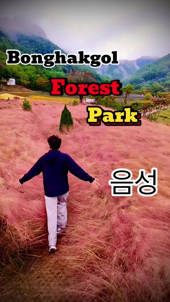 Post 10 by Kshitiz In Corea 🇰🇷 on TikTok (video)
