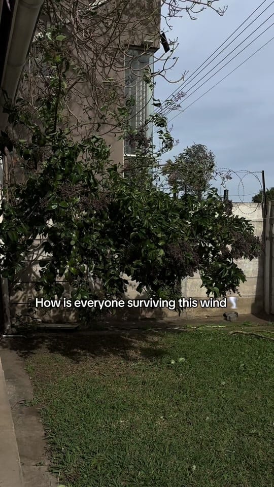 Post 5 by Maryam Dahir on TikTok (video)