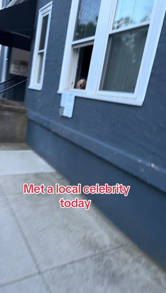 Post 6 by The chronicles of B & E on TikTok (video)