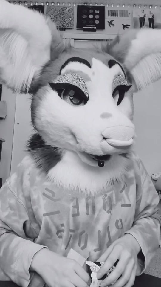 Post 5 by Spencer 🦌💙 🔜 AC 2026 on TikTok (video)