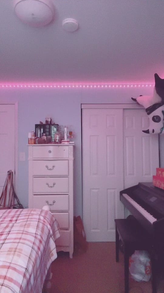 Post 10 by Spencer 🦌💙 🔜 AC 2026 on TikTok (video)