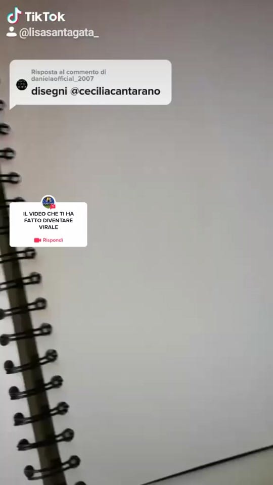 Post 9 by lisa santagata on TikTok (video)