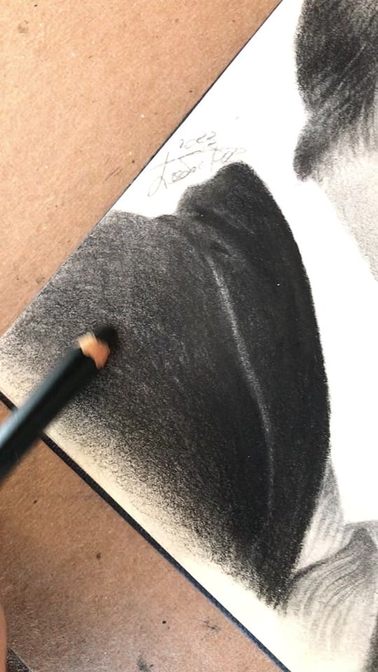 Post 1 by lisa santagata on TikTok (video)