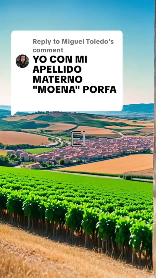 Post 4 by Lunikko on TikTok (video)