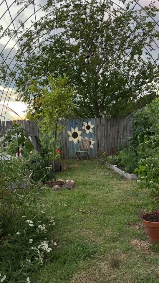 Post 7 by Lauren 🌼 on TikTok (video)