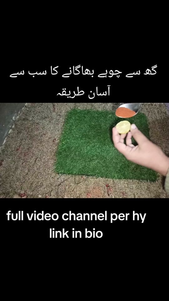 Post 9 by hadiya cooking and tips on TikTok (video)