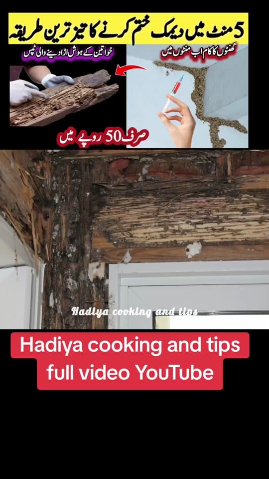 Post 8 by hadiya cooking and tips on TikTok (video)