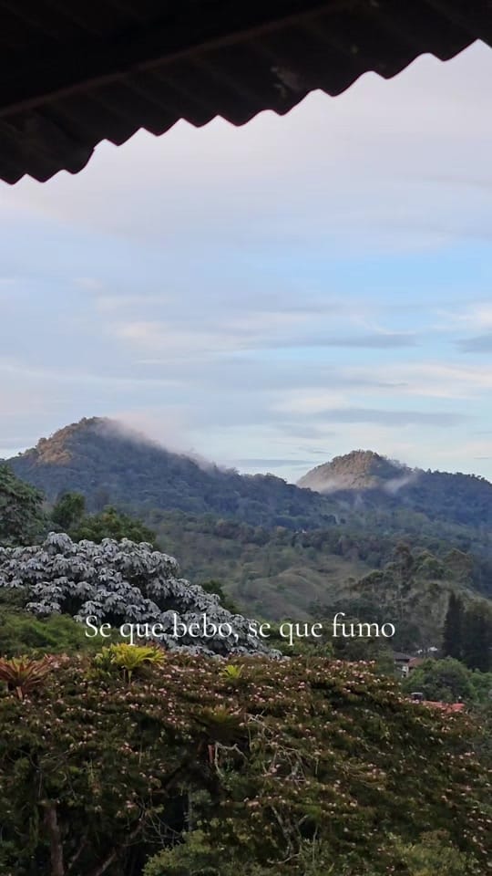 Post 3 by DiDiMusic on TikTok (video)