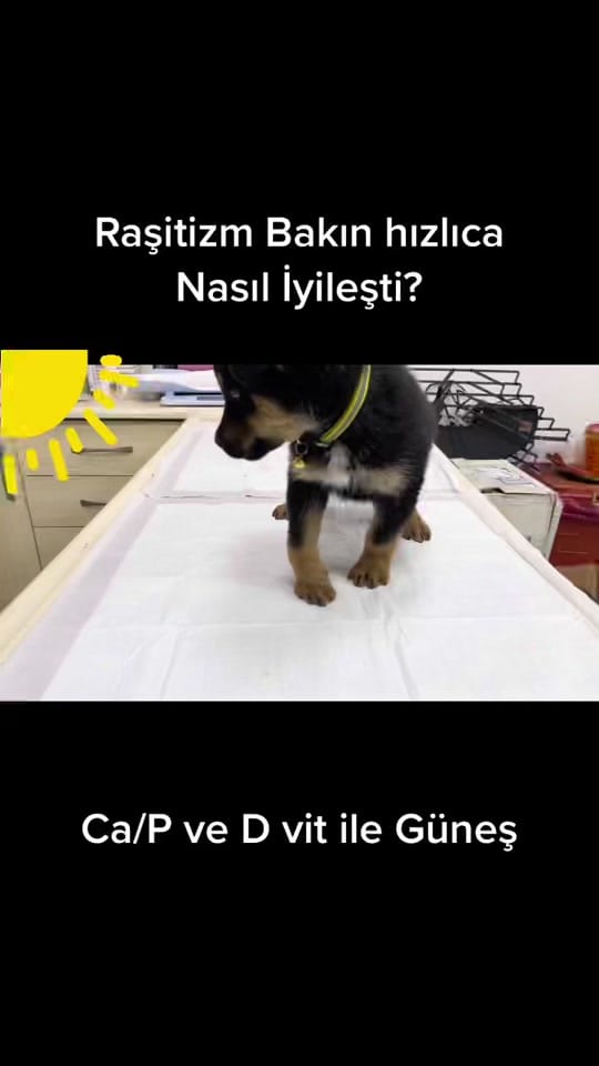 Post 3 by Ender ER on TikTok (video)