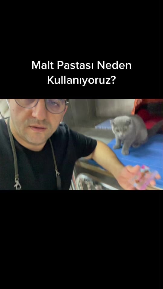 Post 8 by Ender ER on TikTok (video)