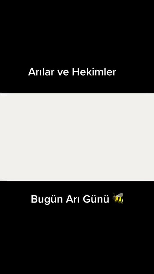 Post 6 by Ender ER on TikTok (video)