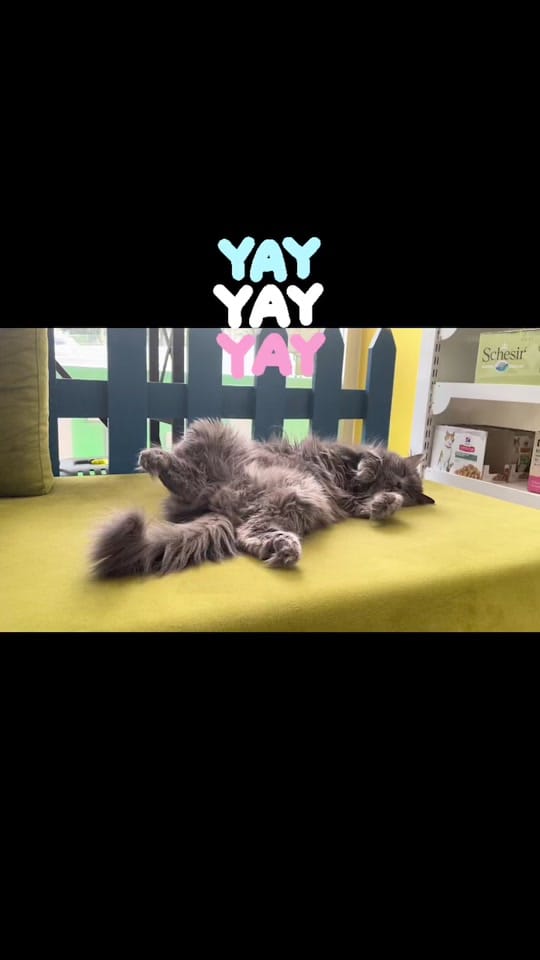 Post 2 by Ender ER on TikTok (video)