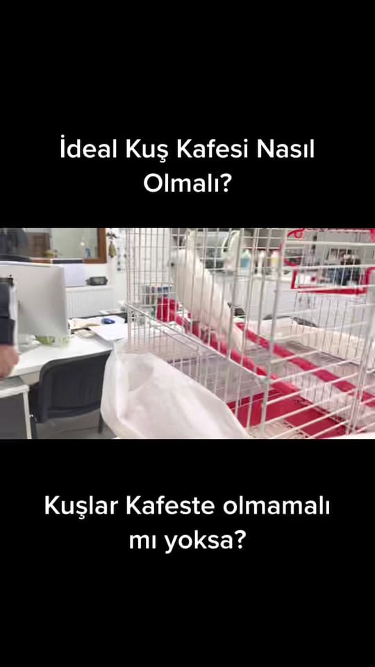 Post 5 by Ender ER on TikTok (video)