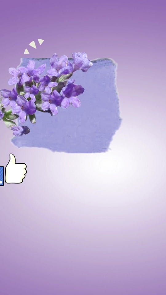 Post 10 by Ecolyte Plus on TikTok (video)