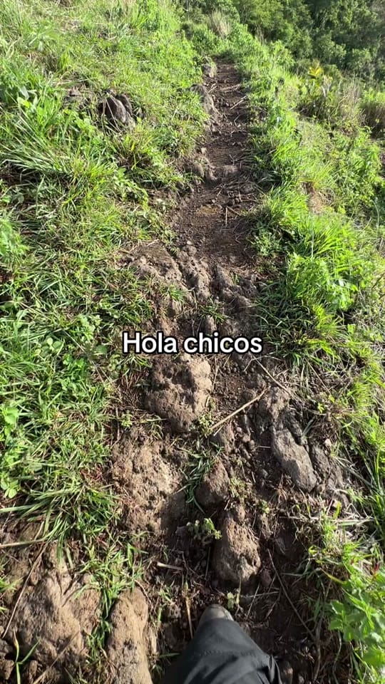Post 10 by Brandon Guerrero on TikTok (video)