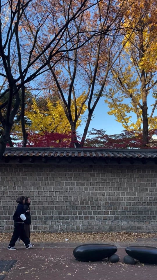 Post 5 by hadda on TikTok (video)