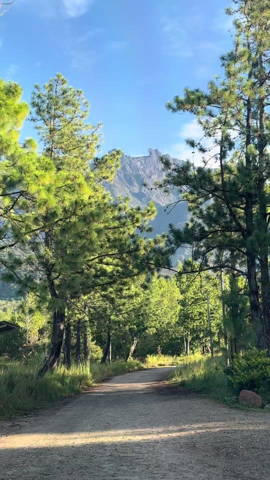 Post 2 by Kundasang travel sabah on TikTok (video)