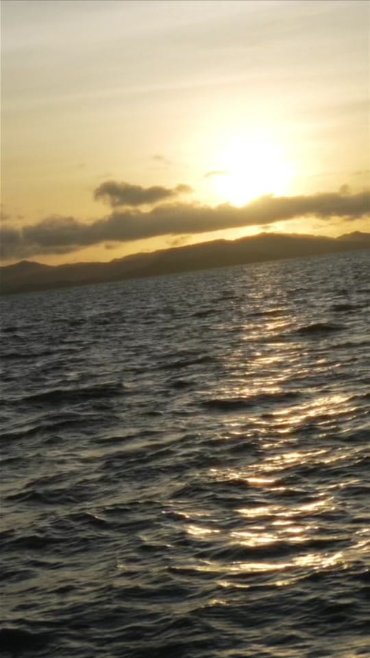 Post 10 by By.brylins on TikTok (video)