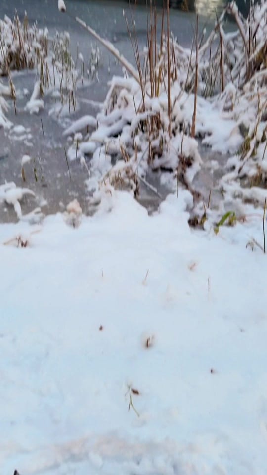 Post 9 by newyork_jenny31 on TikTok (video)