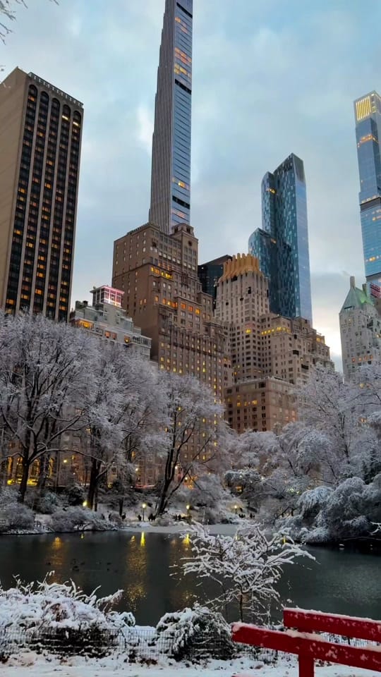 Post 8 by newyork_jenny31 on TikTok (video)