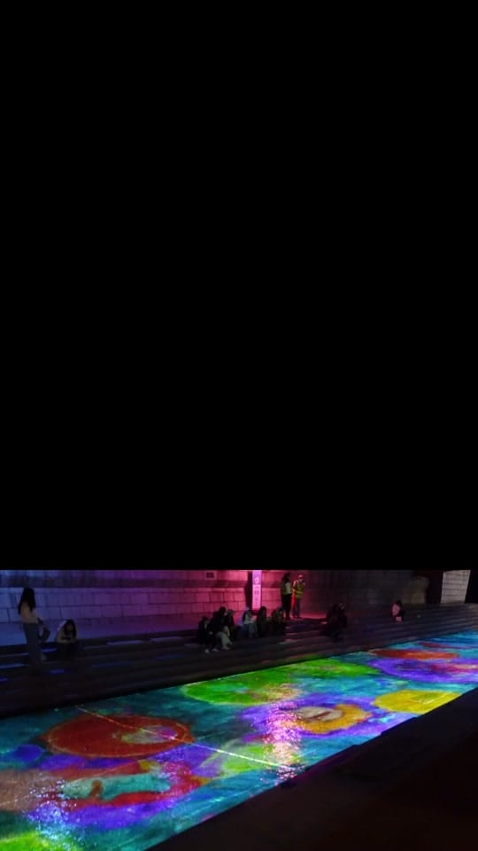 Post 10 by Iamceelia_ 🐉 on TikTok (video)