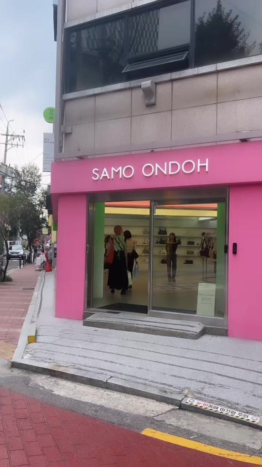 Post 5 by Diana | Seoul/NYC on TikTok (video)
