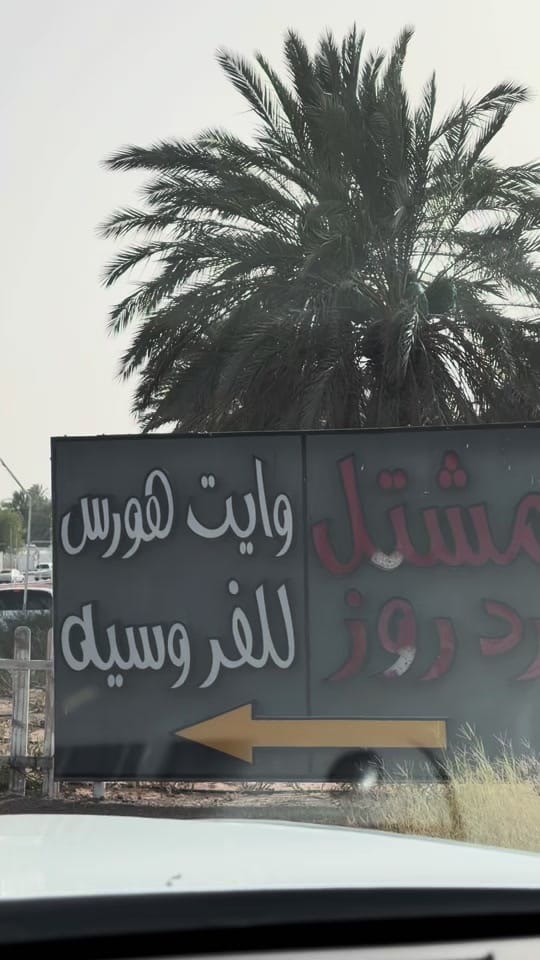 Post 7 by فطيم العين 💅📍 on TikTok (video)