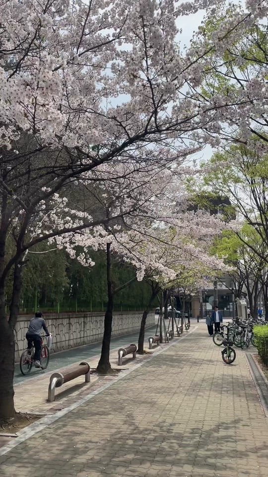Post 10 by baebulli on TikTok (video)