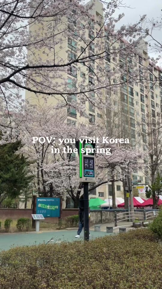 Post 9 by baebulli on TikTok (video)