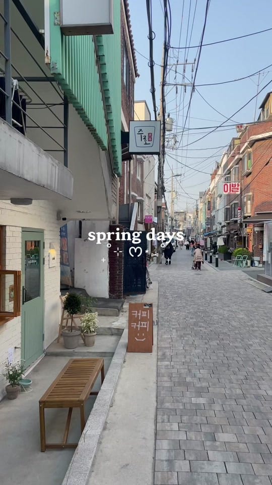 Post 8 by baebulli on TikTok (video)