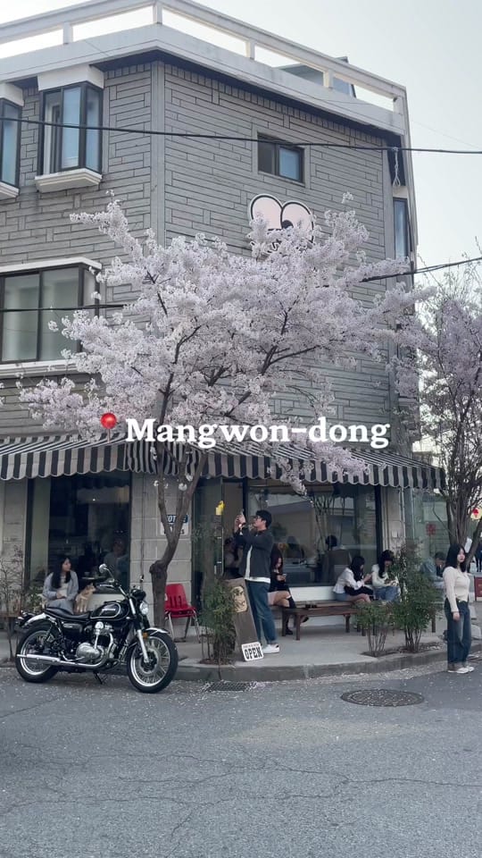 Post 7 by baebulli on TikTok (video)