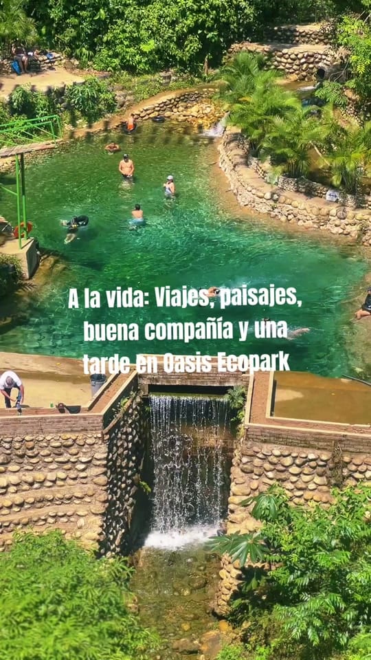 Post 9 by Oasis Eco-Park on TikTok (video)