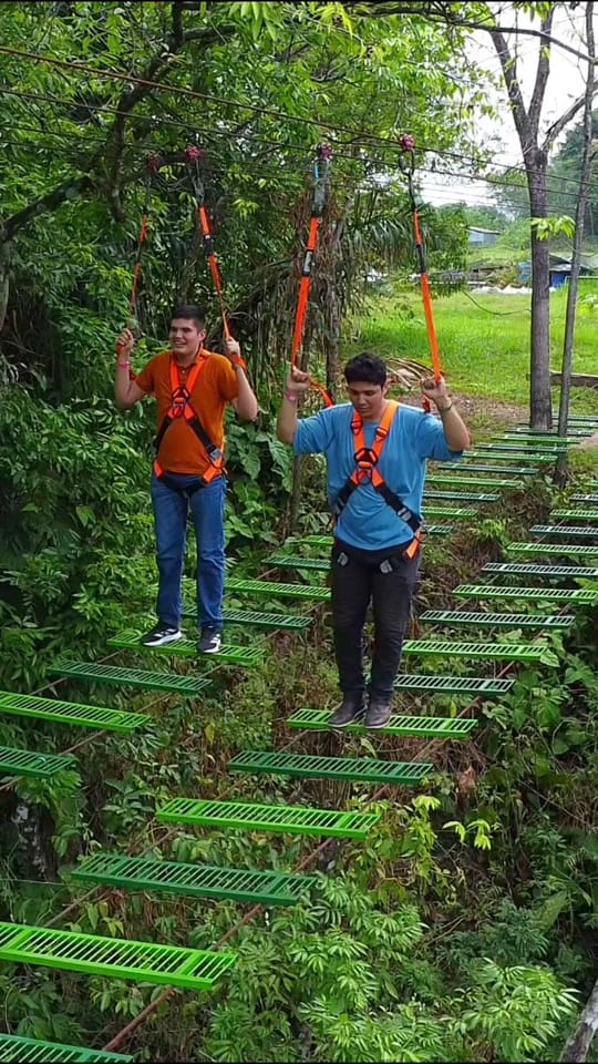 Post 7 by Oasis Eco-Park on TikTok (video)