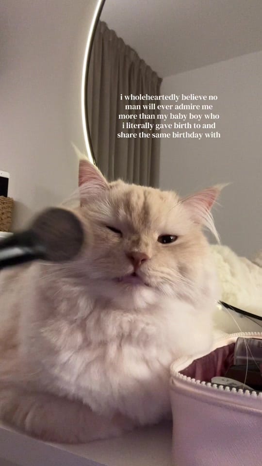 Post 5 by aisha 🐆🍒🕸️ on TikTok (video)
