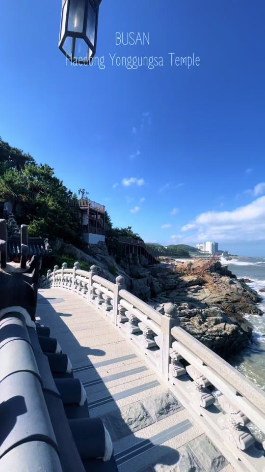 Post 1 by Satang 사탕 | Busan 🕯️ on TikTok (video)