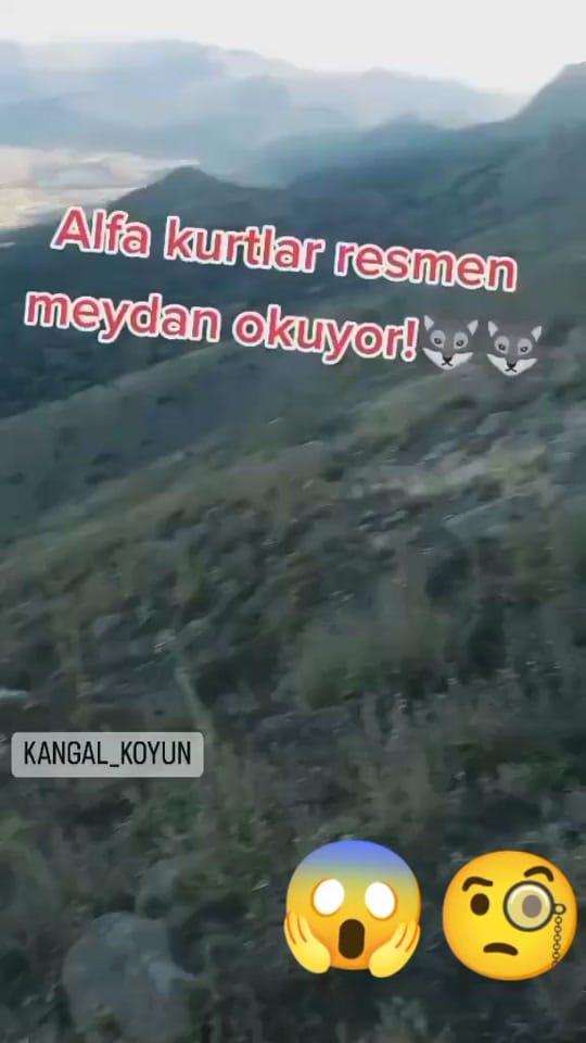 Post 10 by Emre 📍 on TikTok (video)