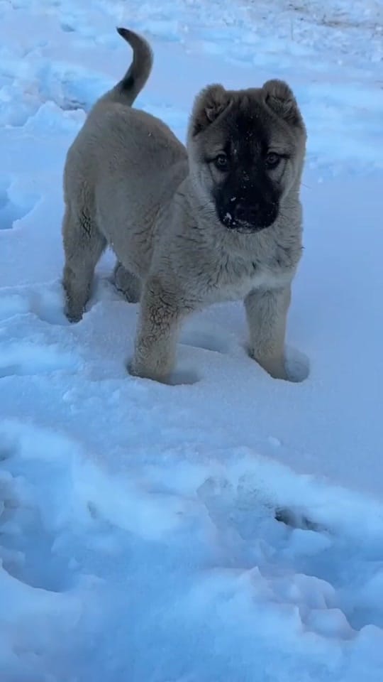 Post 7 by Emre 📍 on TikTok (video)