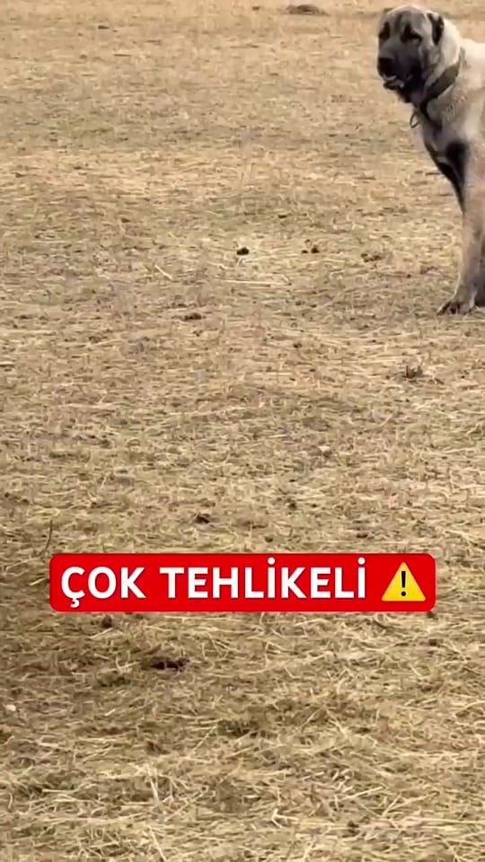 Post 9 by Emre 📍 on TikTok (video)