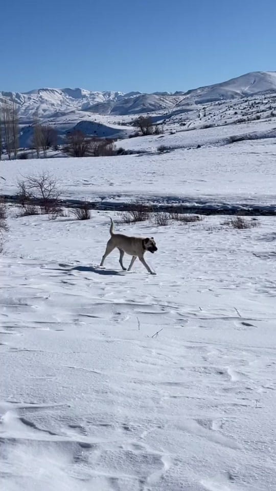 Post 4 by Emre 📍 on TikTok (video)
