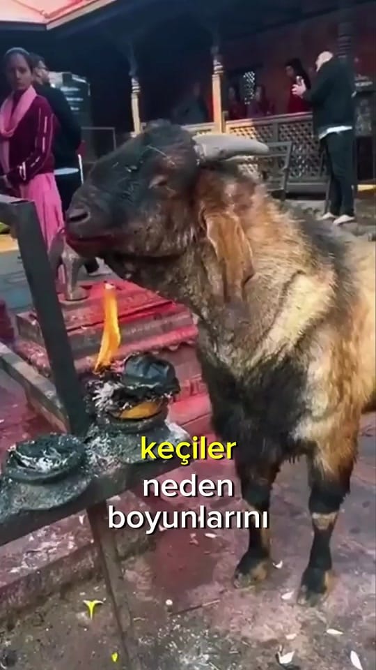 Post 5 by Emre 📍 on TikTok (video)