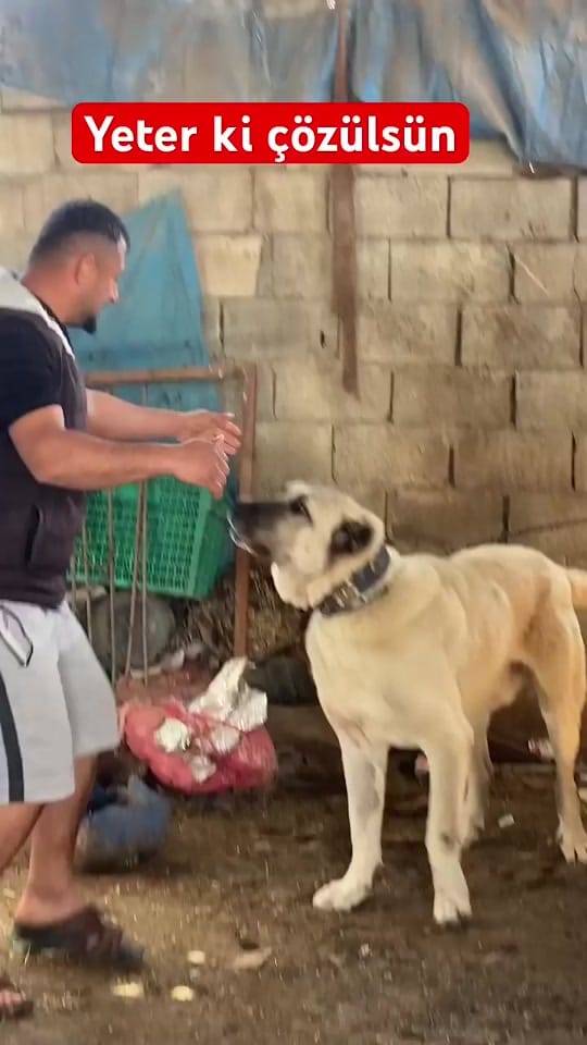 Post 2 by Emre 📍 on TikTok (video)