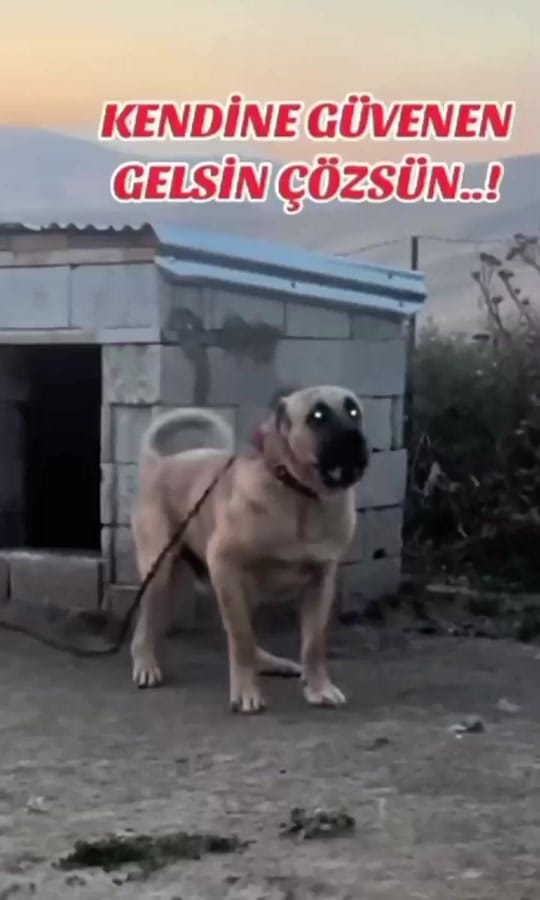 Post 3 by Emre 📍 on TikTok (video)