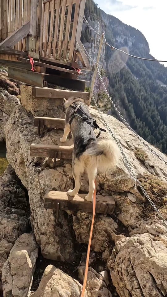 Post 8 by Mala_explorer on TikTok (video)