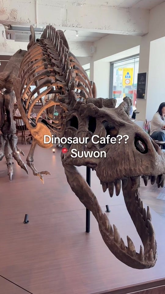 Post 3 by Catherine on TikTok (video)