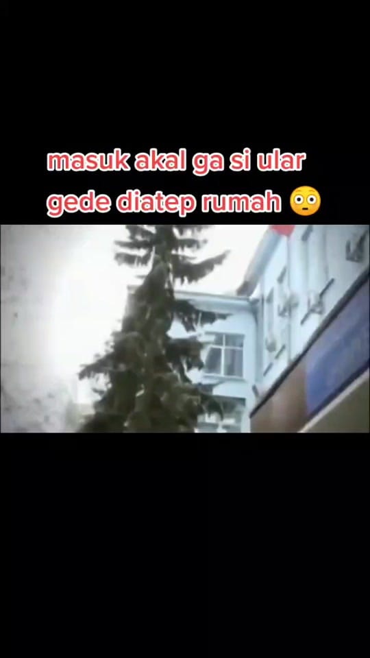Post 10 by Eva_Lavigne on TikTok (video)