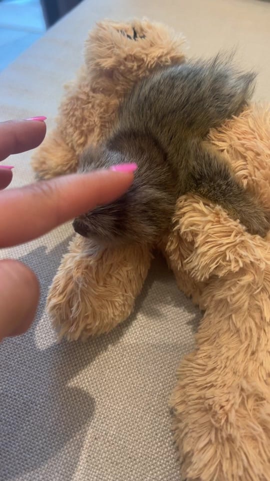 Post 7 by Mimi on TikTok (video)