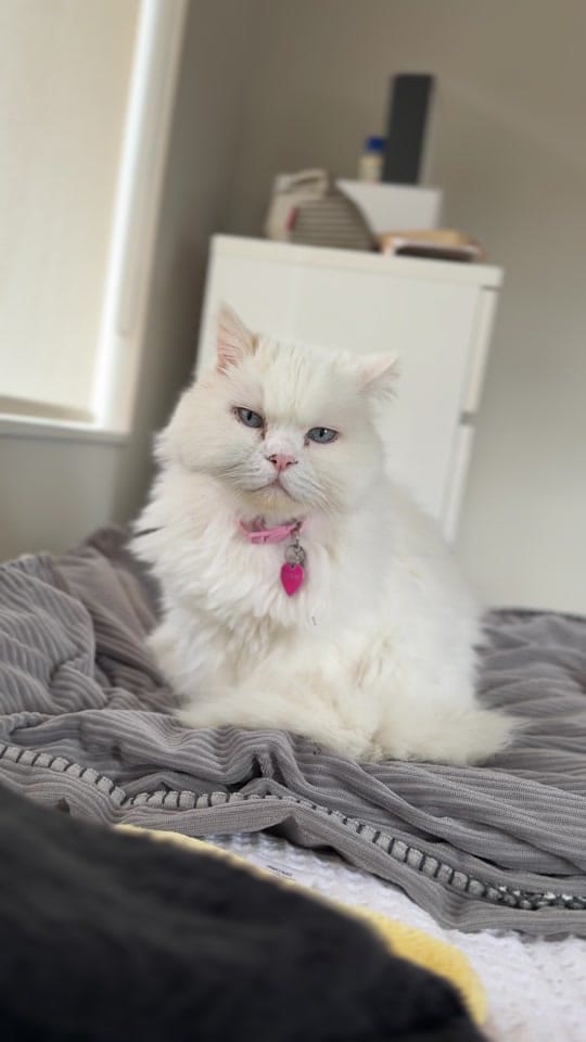 Post 5 by Mimi on TikTok (video)