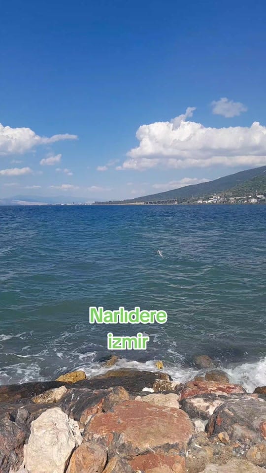 Post 6 by müşerref on TikTok (video)