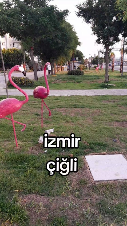 Post 7 by müşerref on TikTok (video)