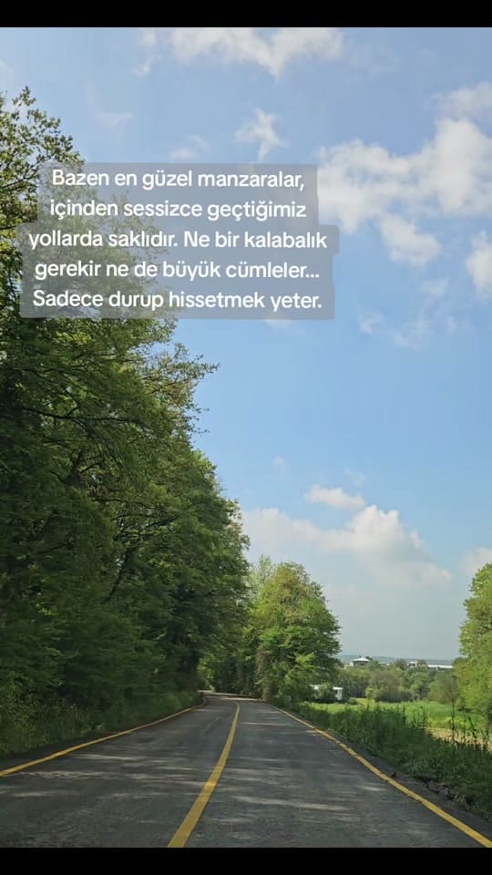 Post 5 by Hulya DemirAkbaba on TikTok (video)
